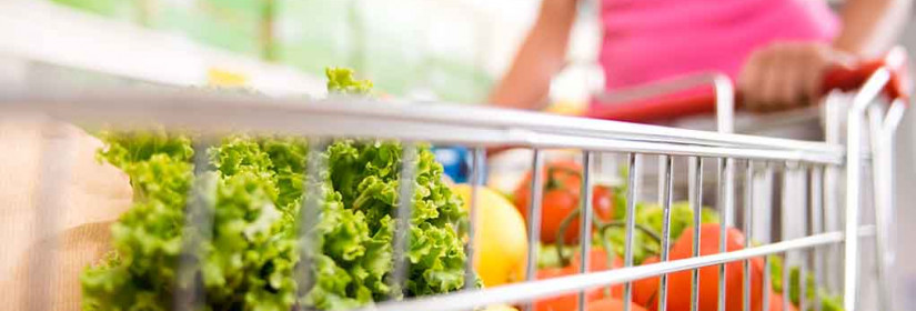 SNAP Benefits 2025: Who Qualifies for Food Assistance—From Students to $3,000-a-Month Earners